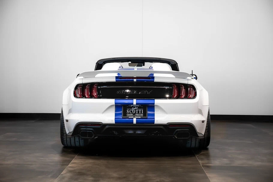2021 Ford Mustang Shelby Super Snake Speedster (S550), 10/30