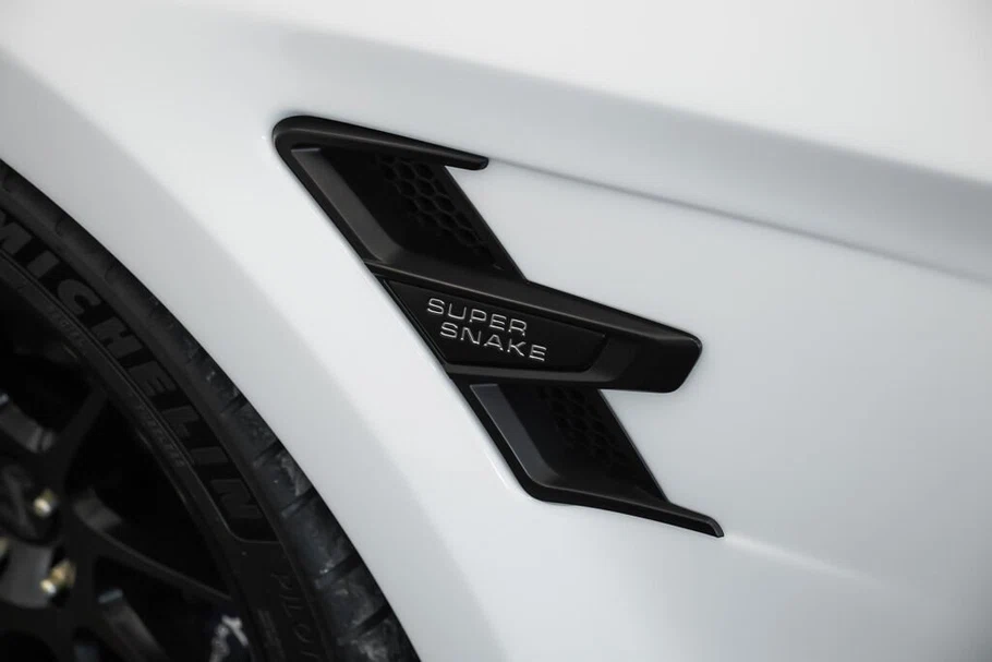 2021 Ford Mustang Shelby Super Snake Speedster (S550), 22/30