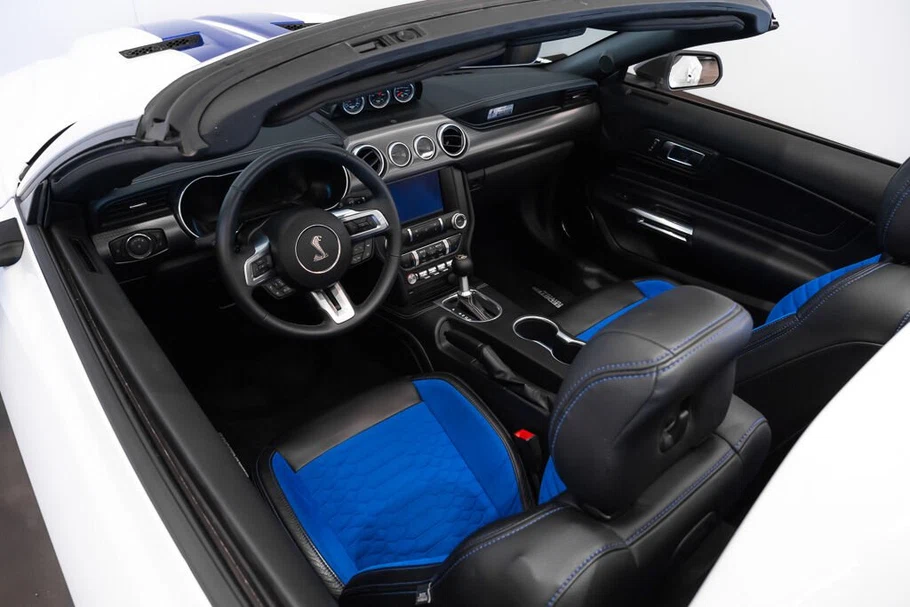 2021 Ford Mustang Shelby Super Snake Speedster (S550), 23/30