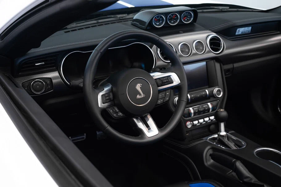 2021 Ford Mustang Shelby Super Snake Speedster (S550), 24/30