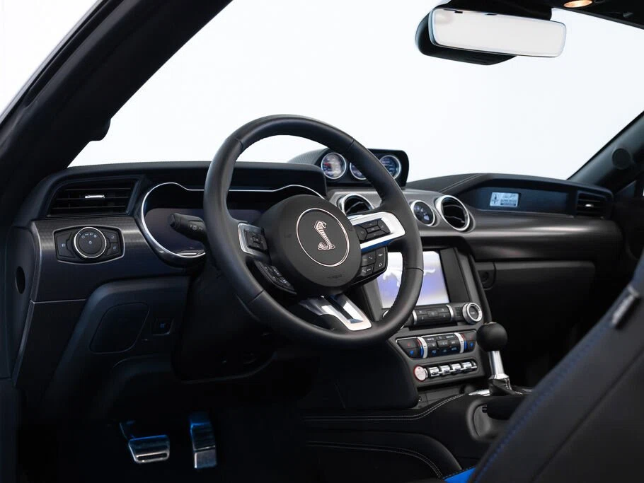 2021 Ford Mustang Shelby Super Snake Speedster (S550), 25/30