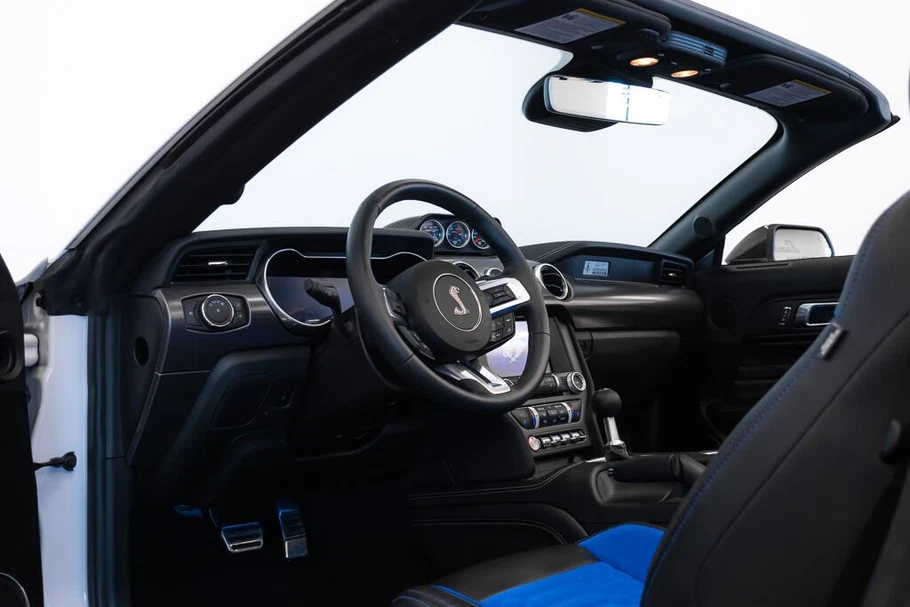 2021 Ford Mustang Shelby Super Snake Speedster (S550), 26/30