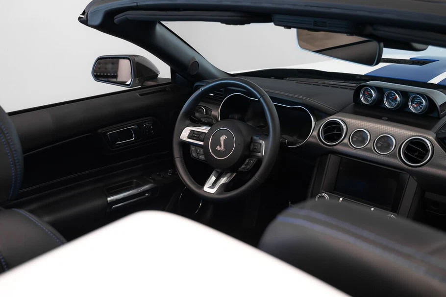 2021 Ford Mustang Shelby Super Snake Speedster (S550), 27/30