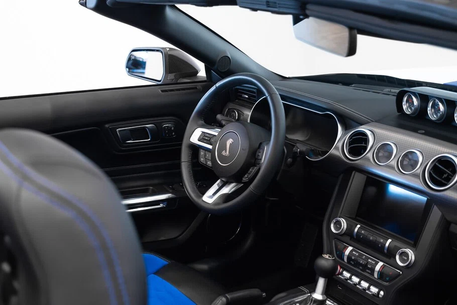 2021 Ford Mustang Shelby Super Snake Speedster (S550), 28/30