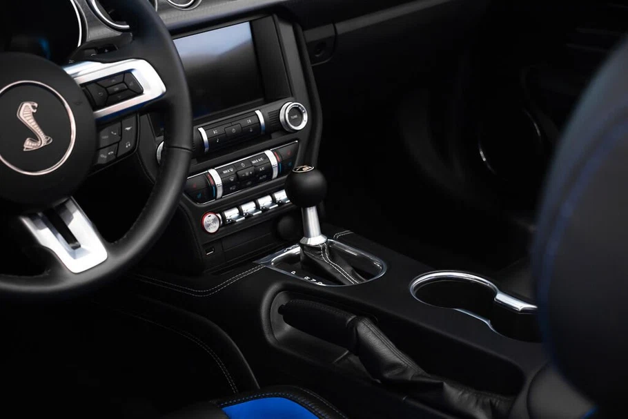 2021 Ford Mustang Shelby Super Snake Speedster (S550), 29/30