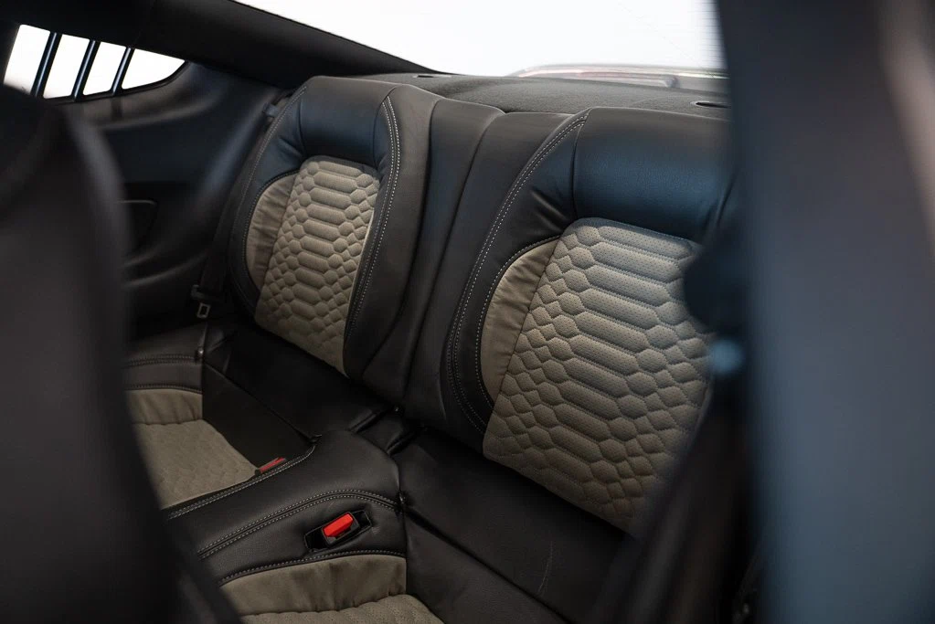 2021 Ford Mustang Shelby Super Snake (S550), 16/30
