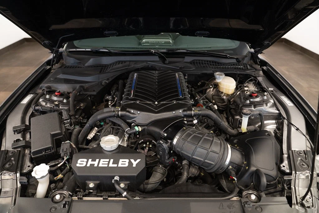 2021 Ford Mustang Shelby Super Snake (S550), 23/30