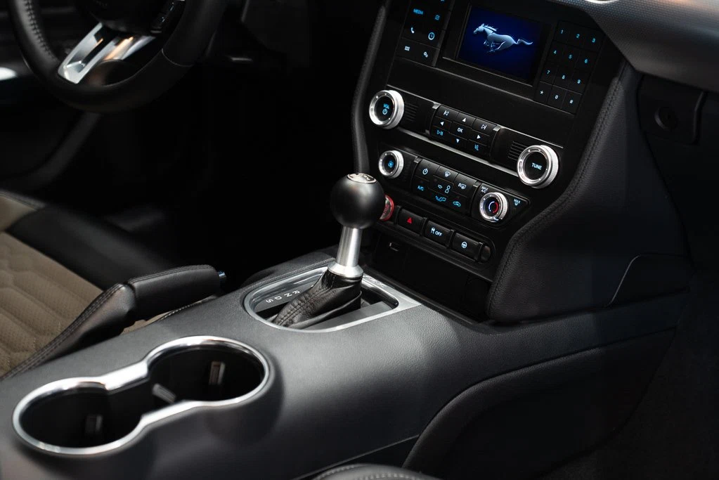 2021 Ford Mustang Shelby Super Snake (S550), 30/30