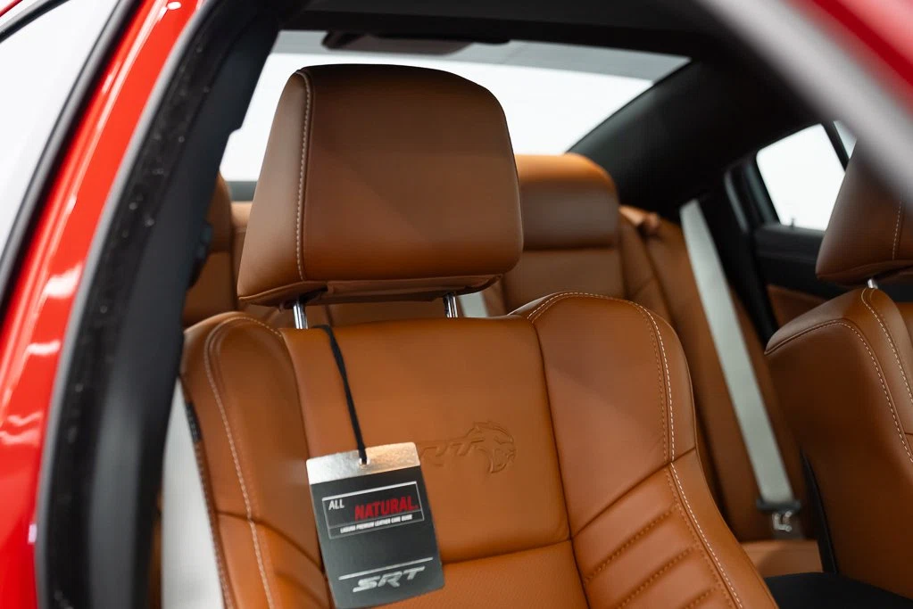 2023 Dodge Charger SRT Hellcat Redeye Jailbreak, 16/29