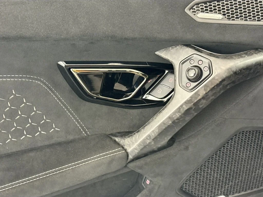 2018 Lamborghini Huracán Performante interior, door panel, Nero Ade
