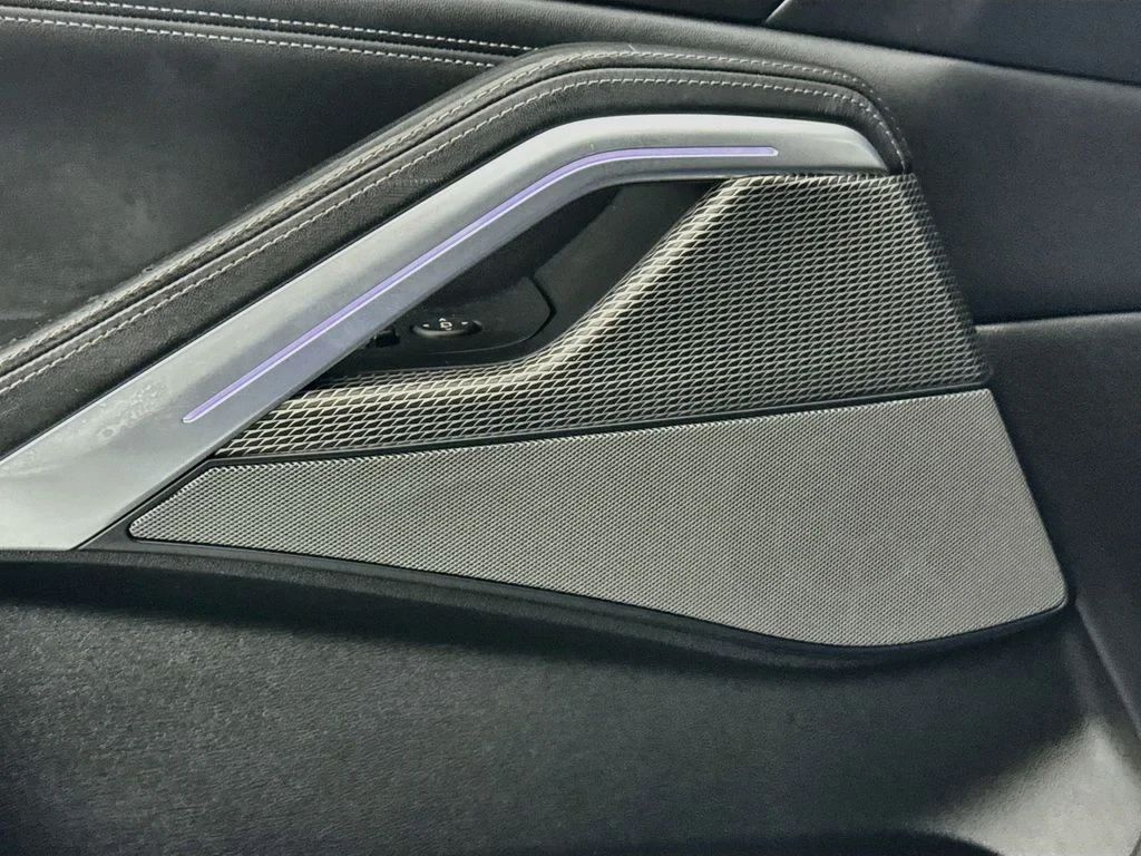 2020 BMW X6 M50i interior, door panel, Black