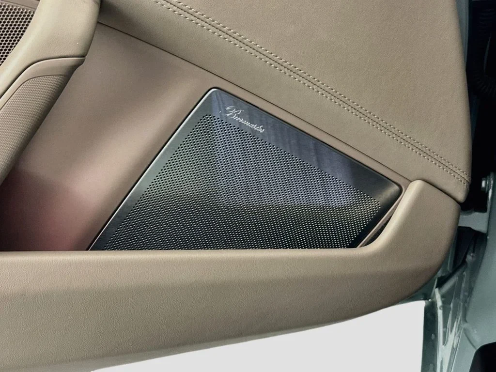 2025 Porsche 911 Carrera 4 GTS interior, door panel
