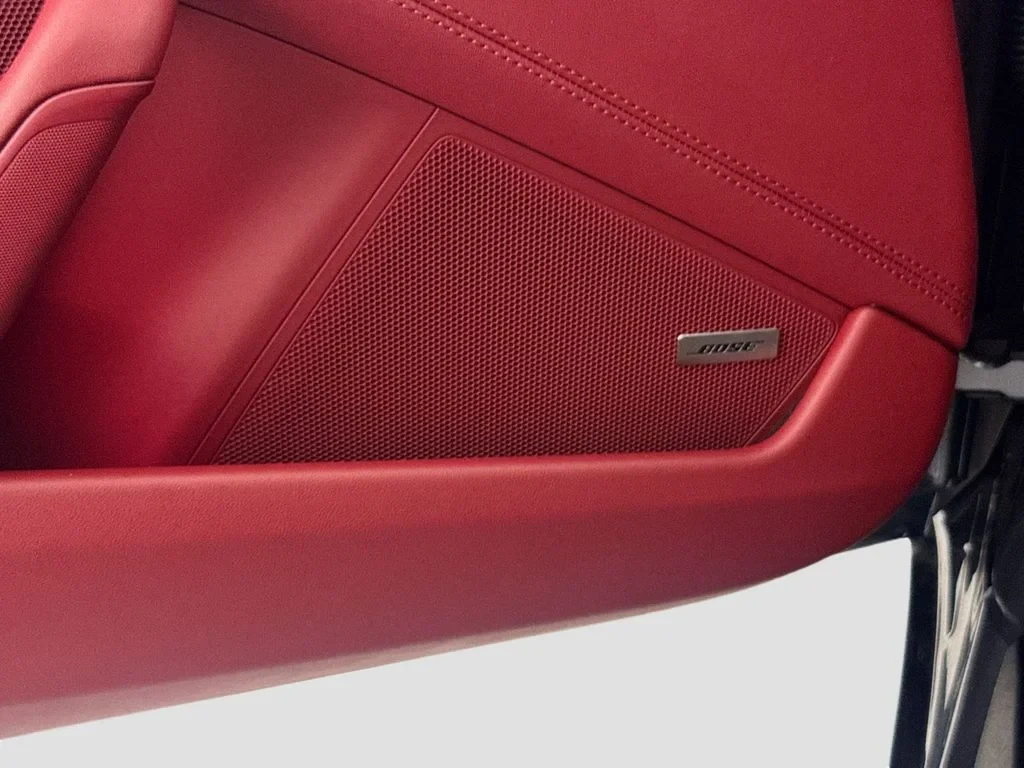 2026 Porsche 911 Carrera 4 GTS interior, door panel