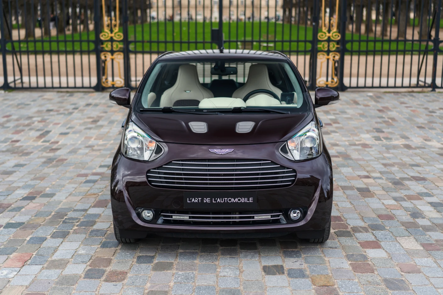 Aston Martin Cygnet, 4/10