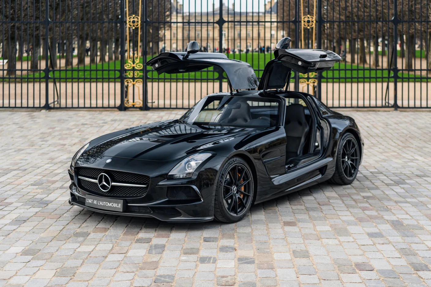 Mercedes-AMG SLS Black Series, 2/10
