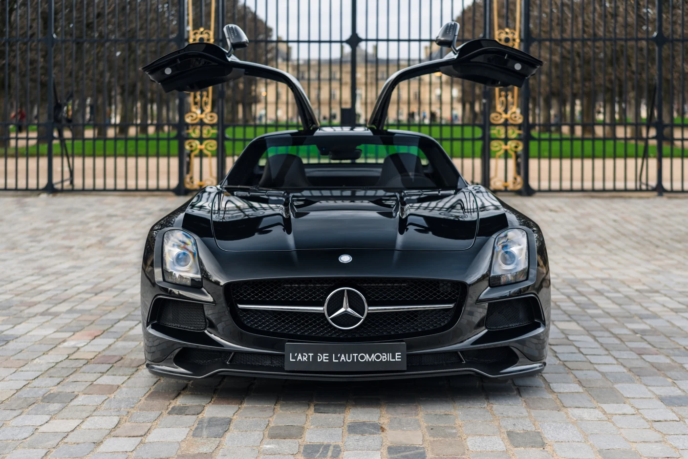 Mercedes-AMG SLS Black Series, 8/10