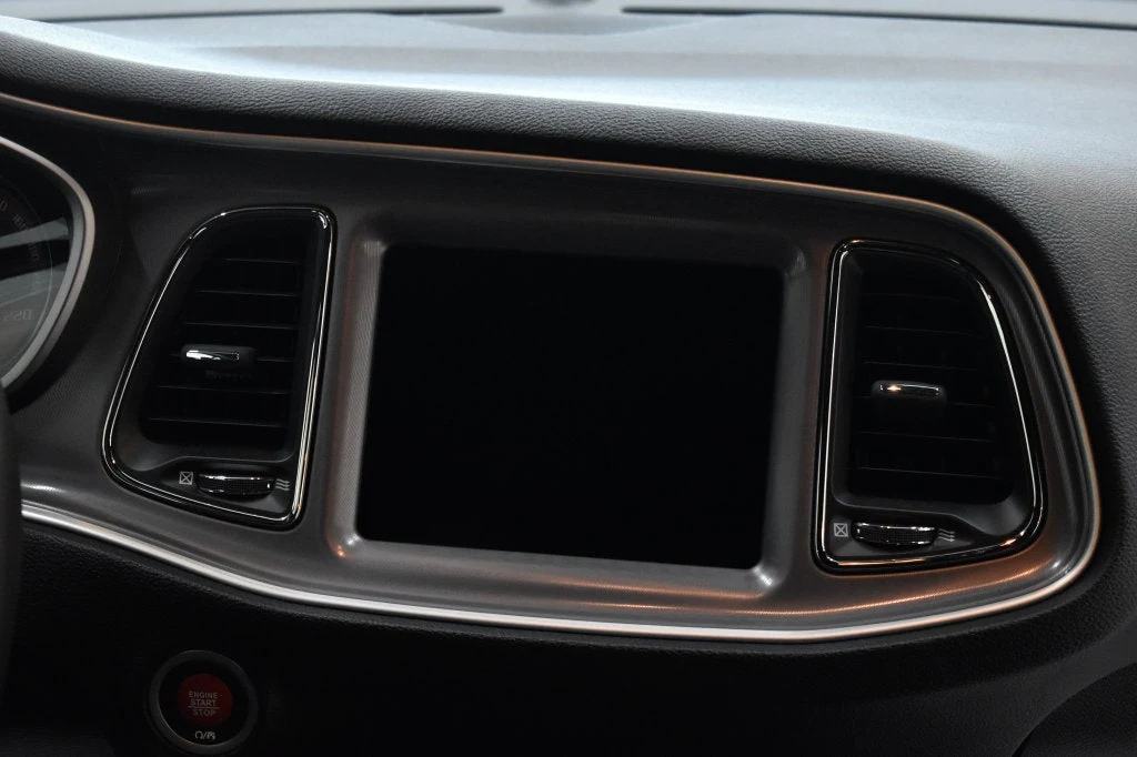 2022 Dodge Challenger SRT Super Stock interior, door panel, Black
