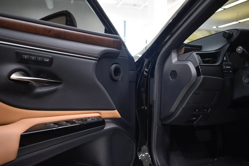 2025 Lexus ES 350 interior, door panel, Palomino