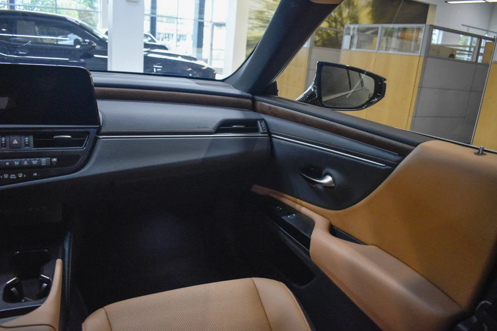2025 Lexus ES 350 interior, door panel, Palomino