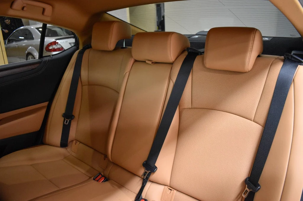 2025 Lexus ES 350 interior, seats, Palomino