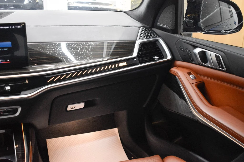 2023 BMW X7 M60i interior, door panel, Tartufo