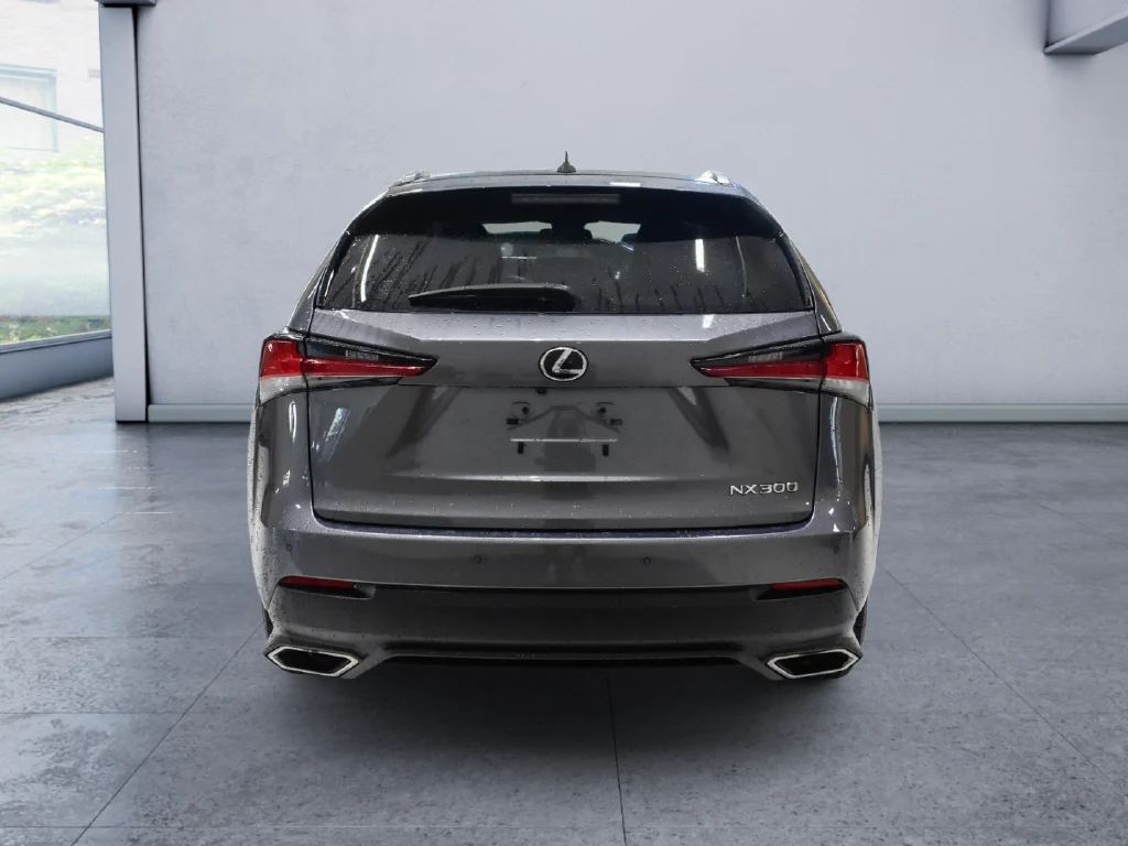 2021 Lexus NX 300, rear three-quarter view, Grey