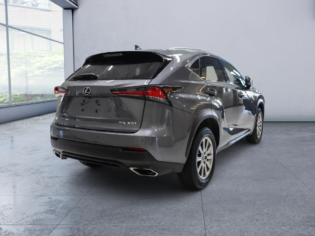 2021 Lexus NX 300, rear three-quarter view, Grey