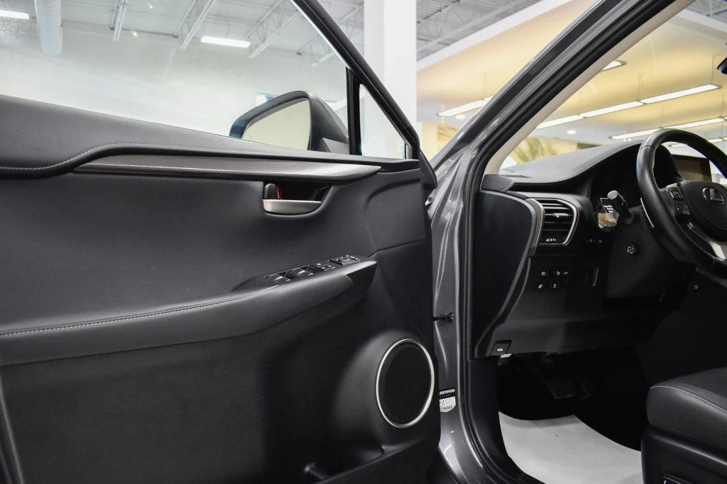 2021 Lexus NX 300 interior, door panel, Black