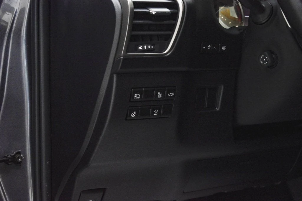 2021 Lexus NX 300 interior, door panel, Black