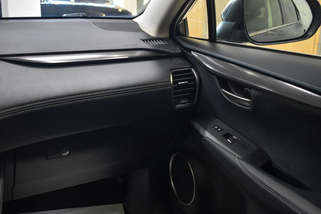 2021 Lexus NX 300 interior, door panel, Black