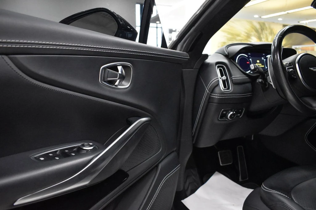2022 Aston Martin DBX interior, door panel, Onyx Black
