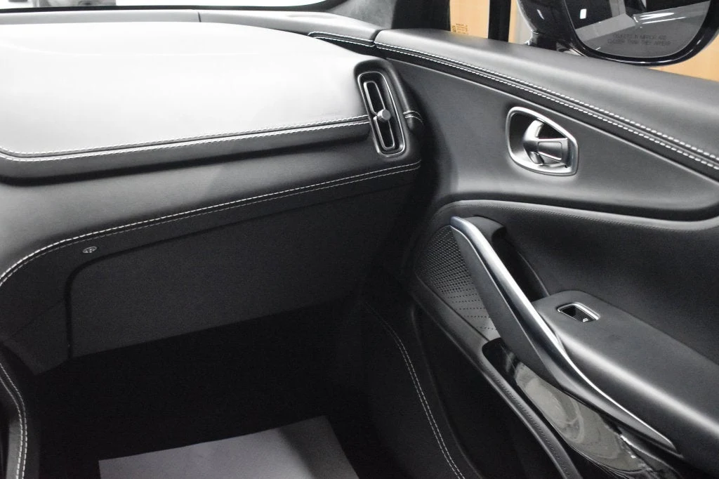 2022 Aston Martin DBX interior, door panel, Onyx Black