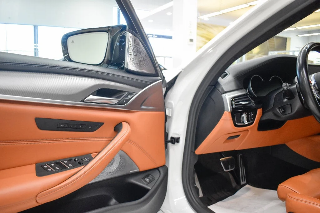 2019 BMW M5 Competition interior, door panel, Aragon Brown