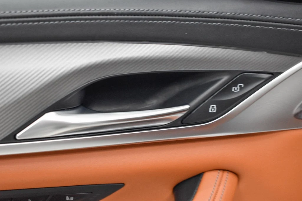 2019 BMW M5 Competition interior, door panel, Aragon Brown
