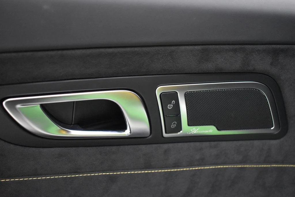 2018 Mercedes-AMG GT R interior, door panel, Black