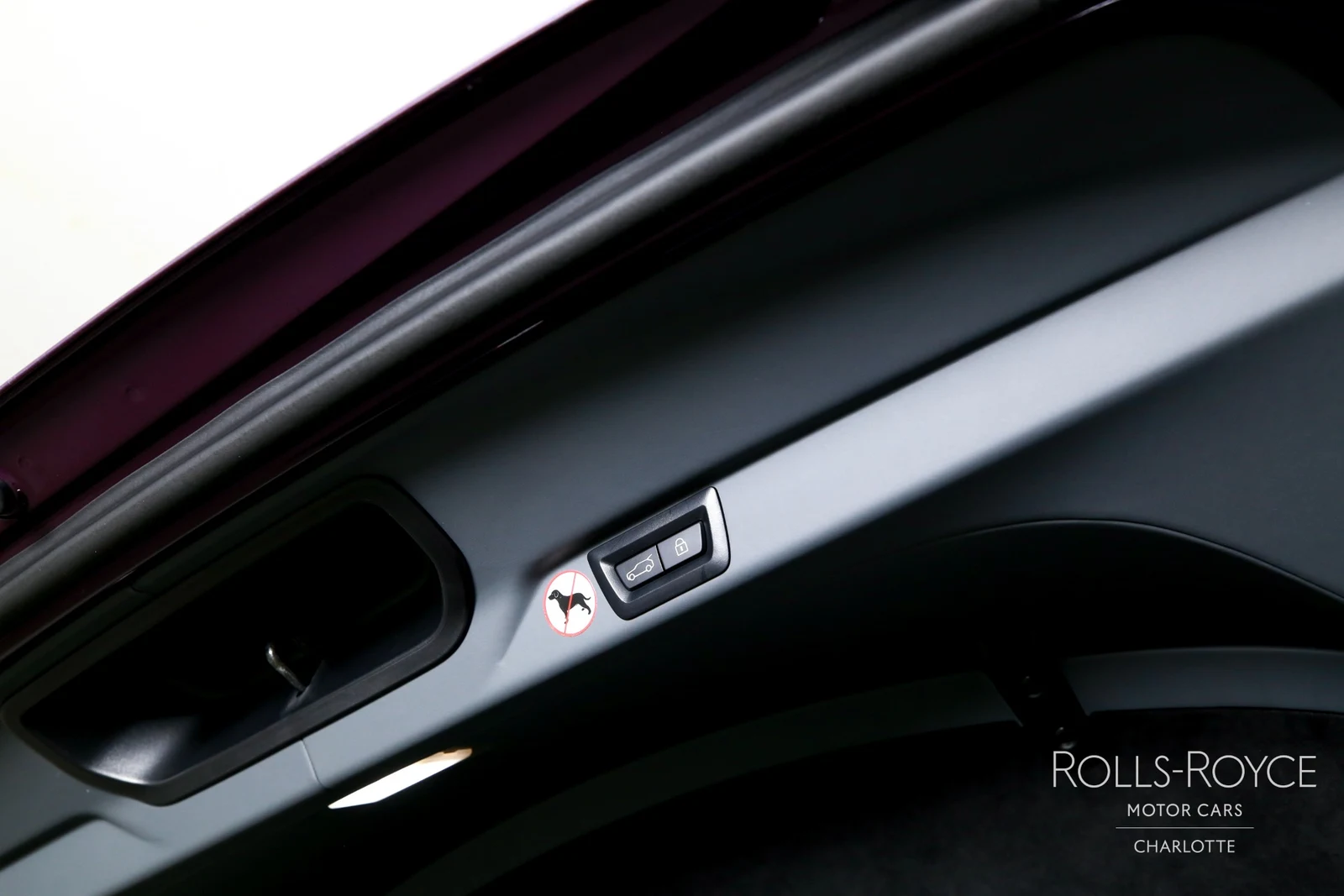 2025 Rolls-Royce Cullinan Series II, 16/29