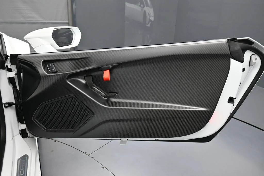 2023 Lamborghini Huracán Tecnica interior, door panel, Nero Ade/Bianco Leda