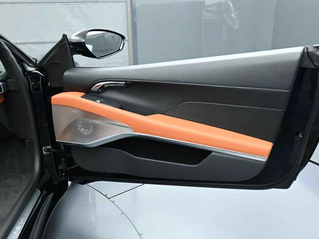 2026 Lotus Emira V6 SE interior, door panel