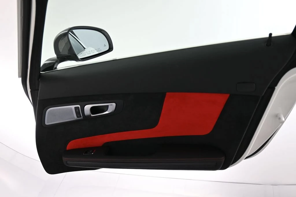 2014 Mercedes-Benz SLS AMG Black Series interior, door panel, Black