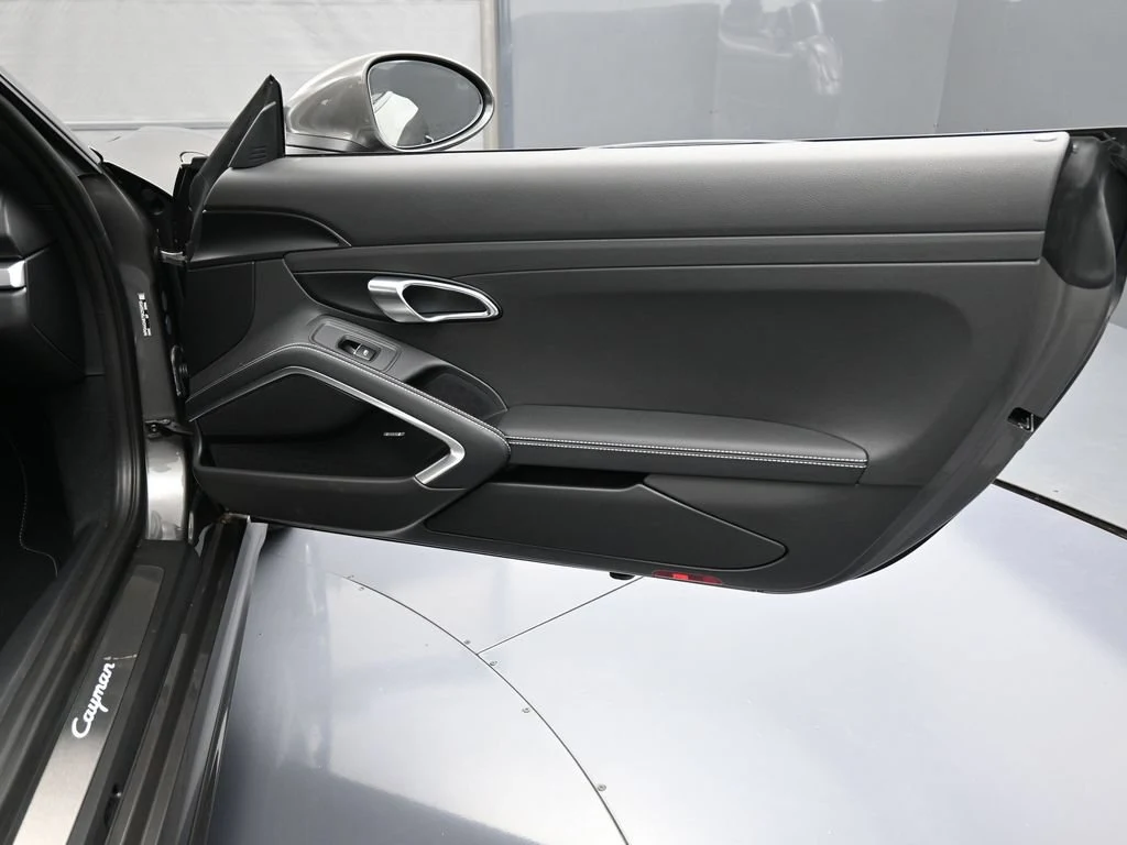 2025 Porsche 718 Cayman Style Edition interior, door panel, Black