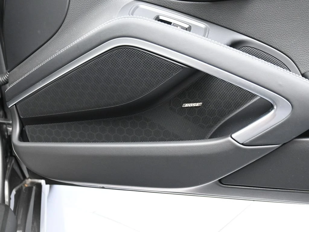 2025 Porsche 718 Cayman Style Edition interior, door panel, Black