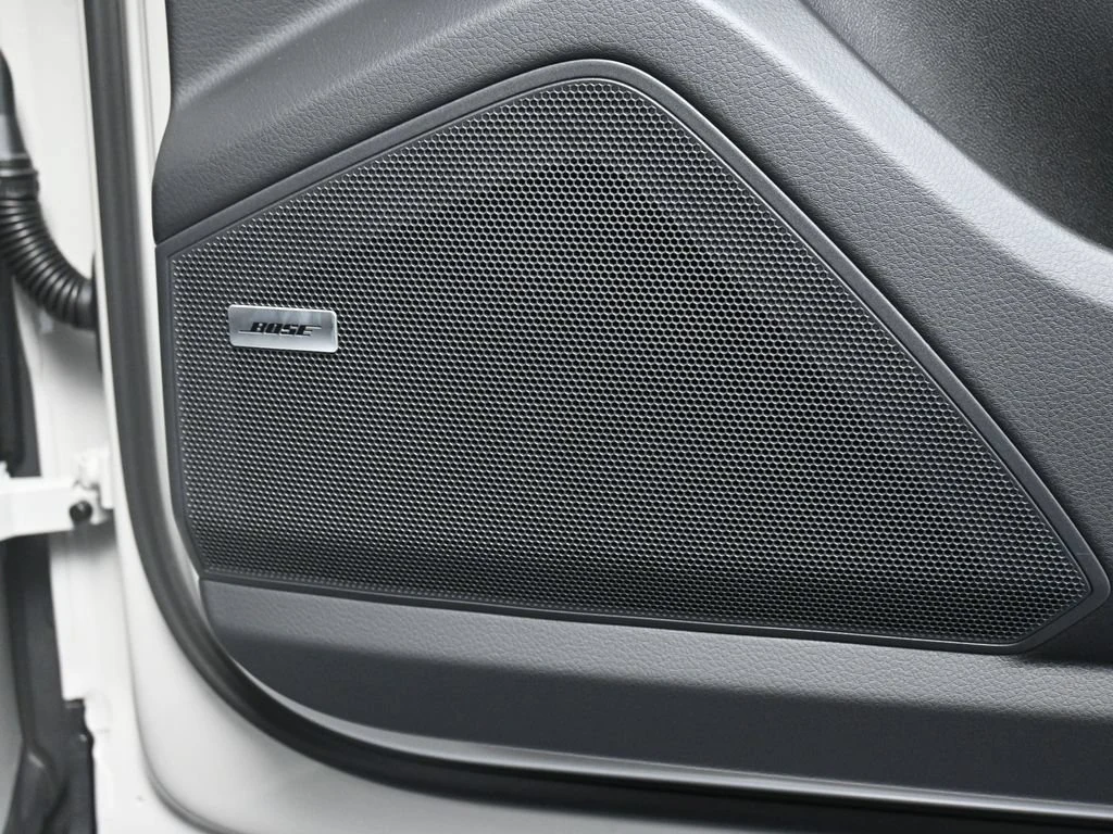 2026 Porsche Cayenne E-Hybrid interior, door panel, Black