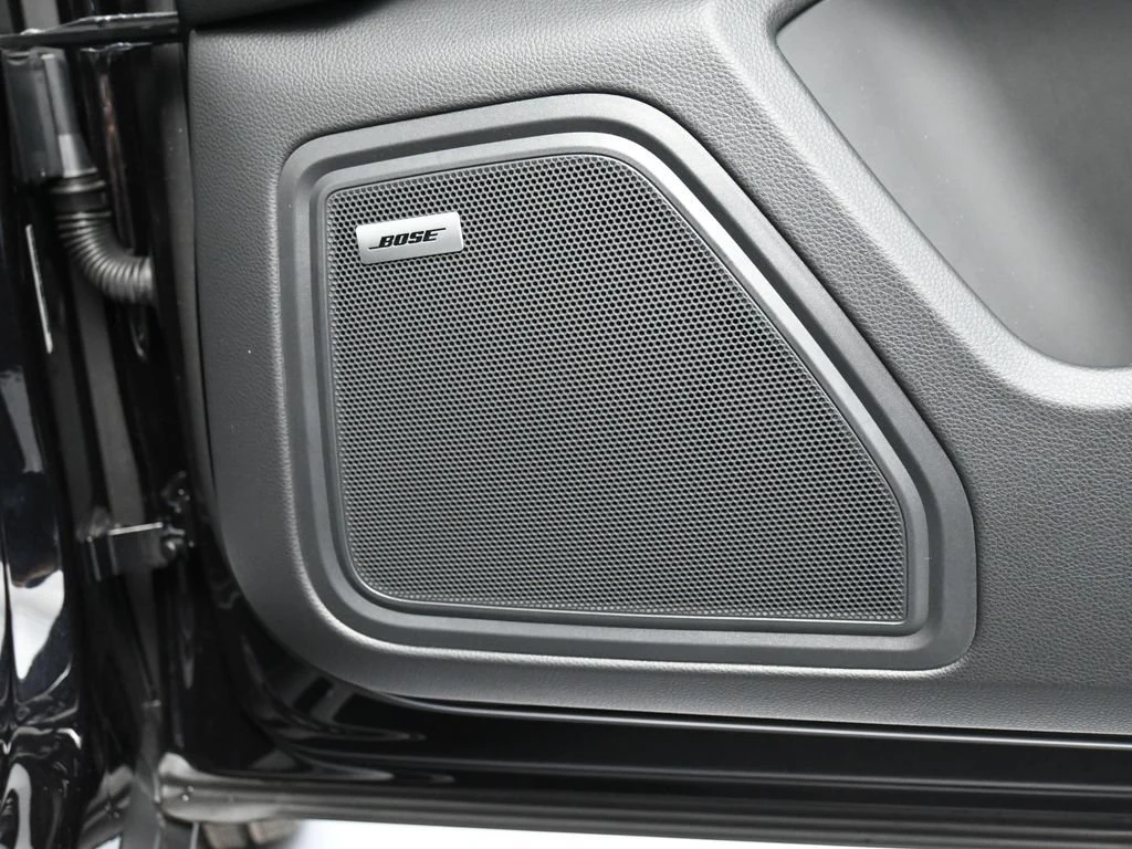 2026 Porsche Macan interior, door panel, Black