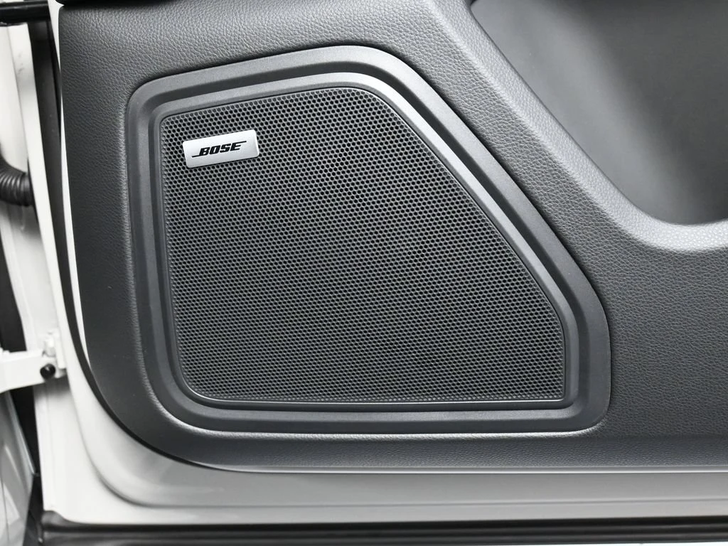 2026 Porsche Macan interior, door panel, Black