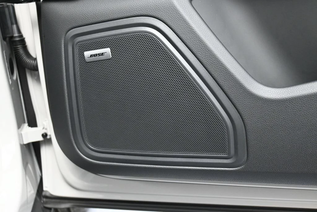 2026 Porsche Macan interior, door panel, Black