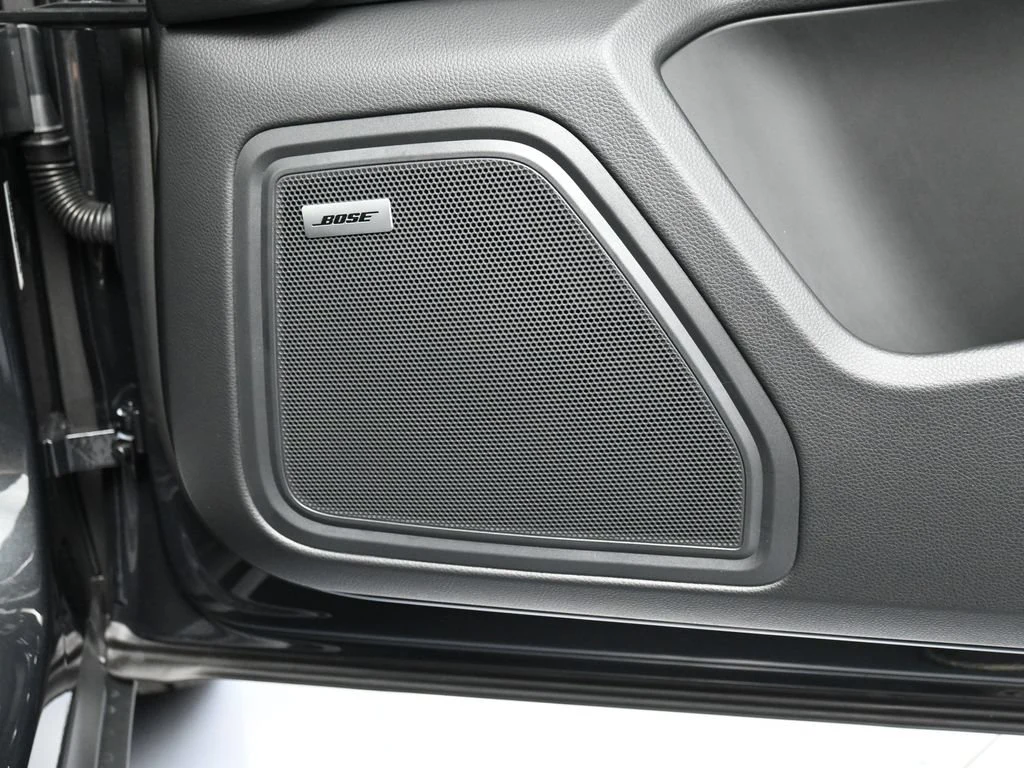 2026 Porsche Macan interior, door panel