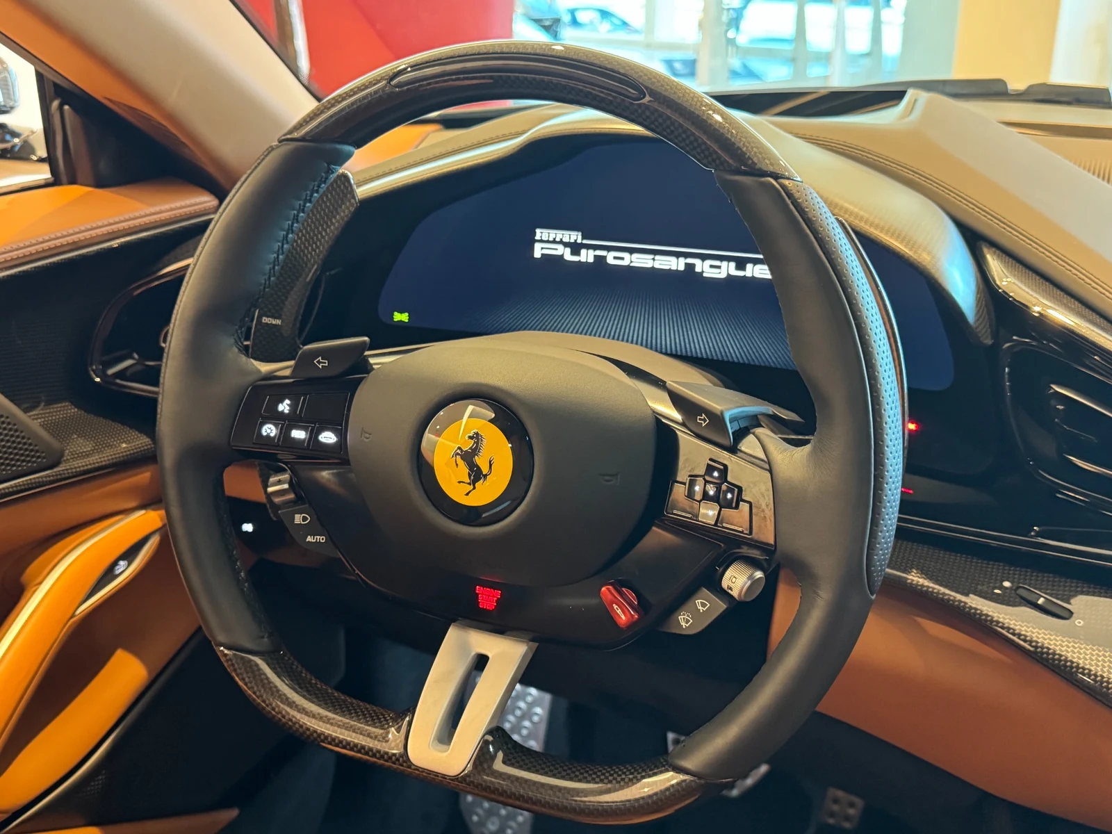 2024 Ferrari Purosangue, 13/19