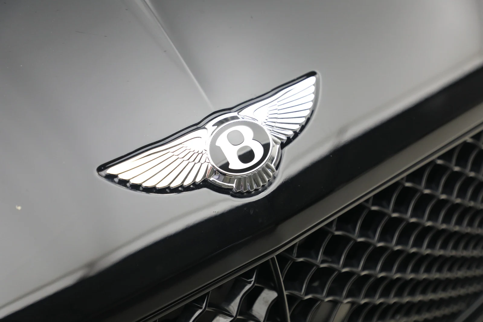 2023 Bentley Continental GT Speed (3rd Generation), 13/20