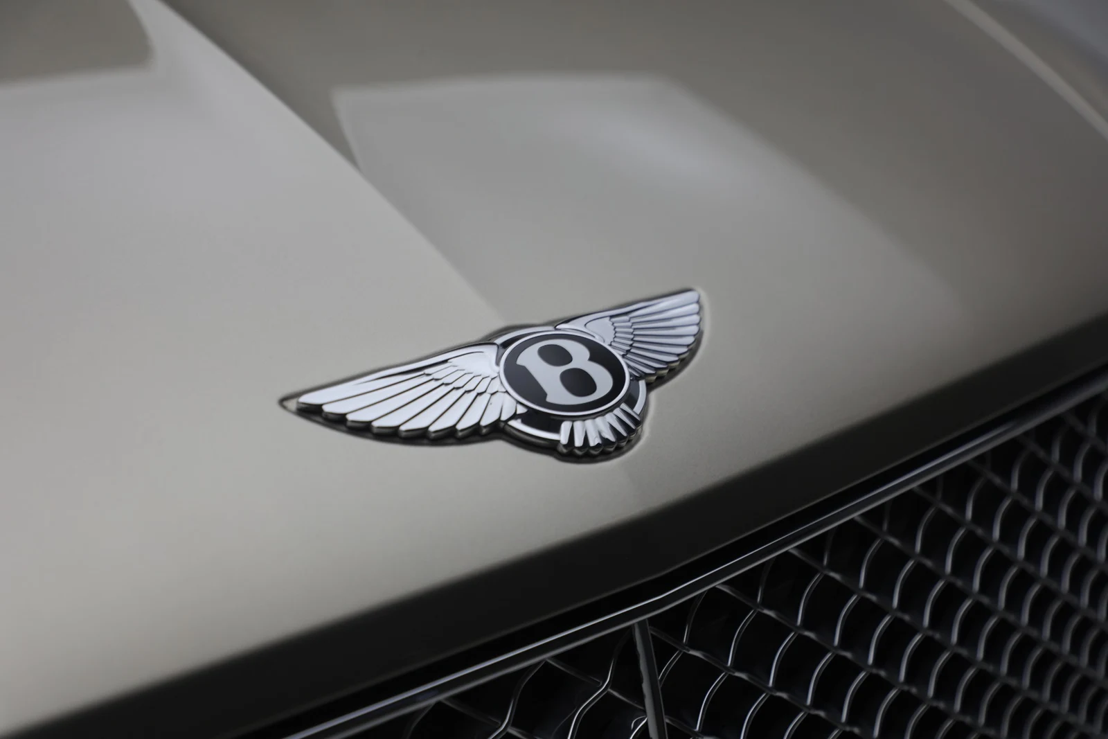 2021 Bentley Bentayga V8, 13/20