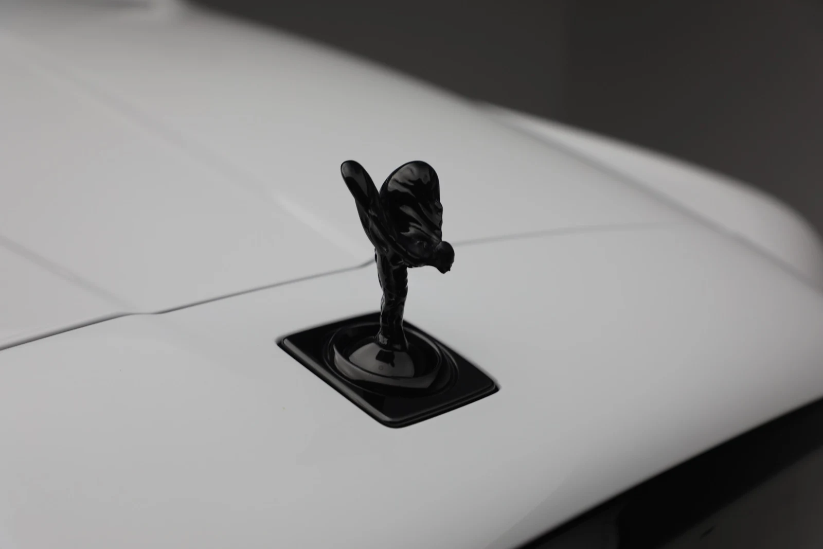 2020 Rolls-Royce Cullinan Black Badge, 14/20